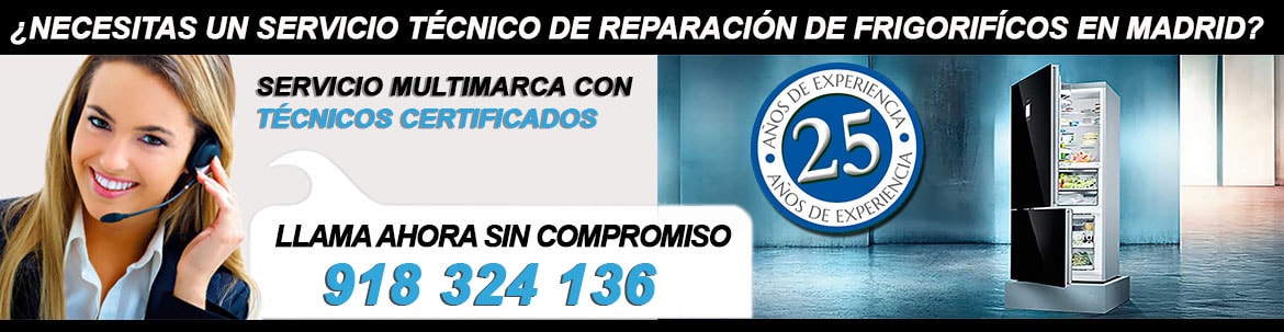 reparacion frigorificos madrid