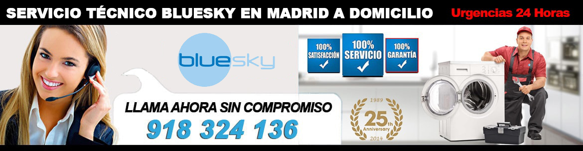 servicio tecnico lavadoras bluesky madrid