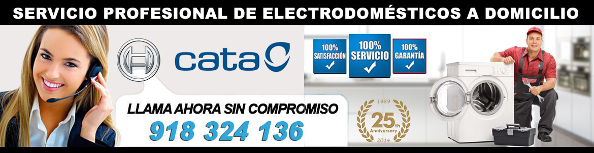 servicio tecnico lavadoras cata madrid