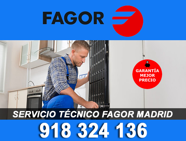 cheque repertorio Cumplir Servicio técnico FAGOR Madrid | ST REPARA